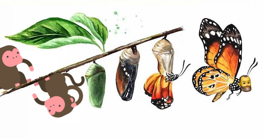 Blog characters superimposed over an illustration of the metamorphosis process